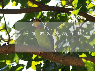网贷逾期外地手机发的通告 网贷逾期外地手机发的通告