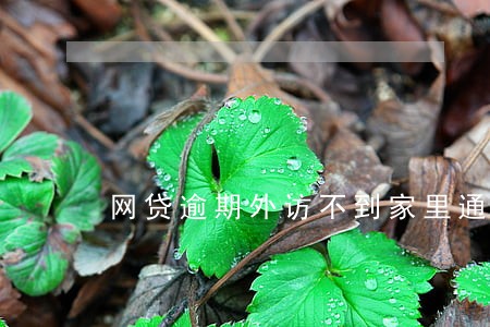网贷逾期外访不到家里通知吗 网贷逾期外访不到家里通知吗