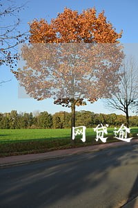 网贷逾期外访专员打电话给我 网贷逾期外访专员打电话给我