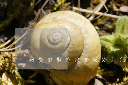 网贷逾期外访发短信上门