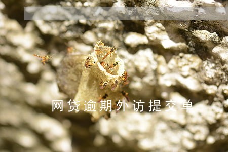 网贷逾期外访提交单 网贷逾期外访提交单