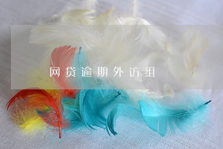 网贷逾期外访组