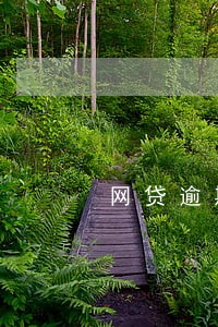 网贷逾期外访要来 网贷逾期外访要来