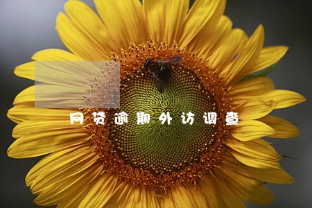 网贷逾期外访调查 网贷逾期外访调查