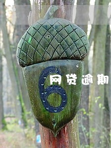 网贷逾期外面租房能查到吗