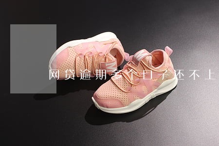 网贷逾期多个口子还不上 网贷逾期多个口子还不上