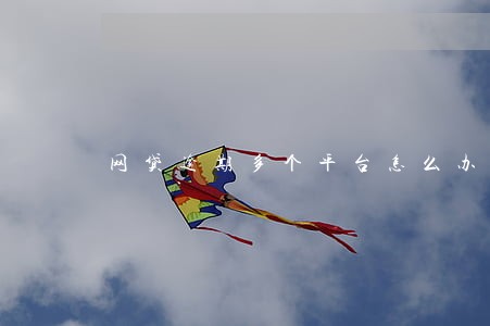 网贷逾期多个平台怎么办 网贷逾期多个平台怎么办