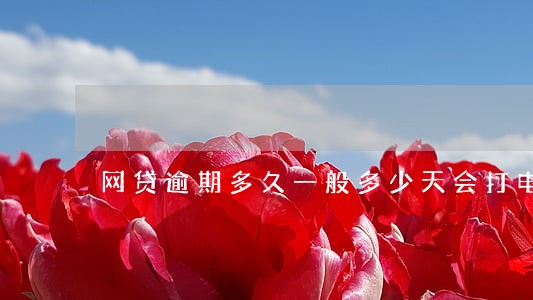 网贷逾期多久一般多少天会打电话 网贷逾期多久一般多少天会打电话