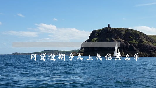 网贷逾期多久上失信黑名单