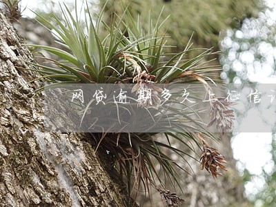 网贷逾期多久上征信记录 网贷逾期多久上征信记录