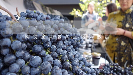 网贷逾期多久上报大数据 网贷逾期多久上报大数据