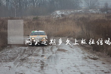 网贷逾期多久上报征信吗 网贷逾期多久上报征信吗