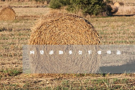 网贷逾期多久下律师函 网贷逾期多久下律师函