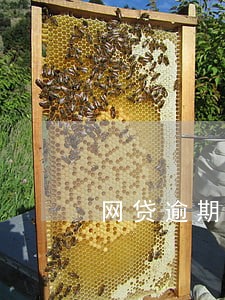 网贷逾期多久不可以乘坐高铁 网贷逾期多久不可以乘坐高铁