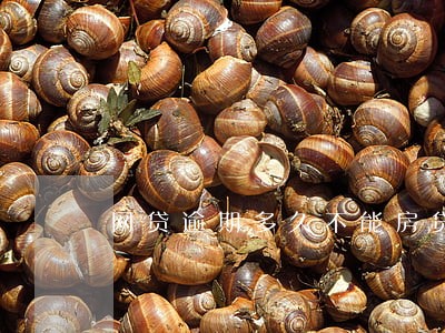 网贷逾期多久不能房贷