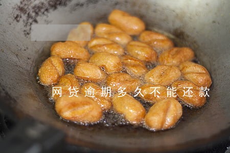 网贷逾期多久不能还款