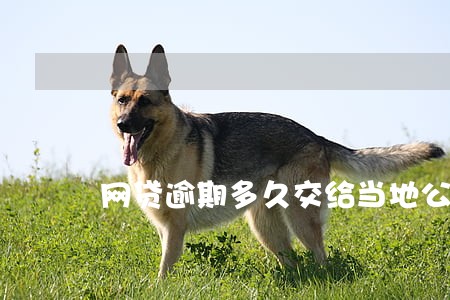 网贷逾期多久交给当地公安侦 网贷逾期多久交给当地公安侦