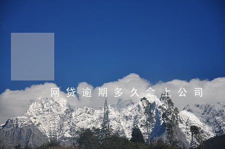 网贷逾期多久会上公司 网贷逾期多久会上公司