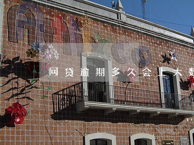 网贷逾期多久会上大数据 网贷逾期多久会上大数据