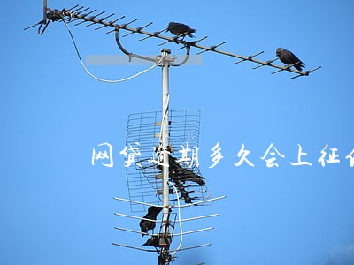 网贷逾期多久会上征信报告