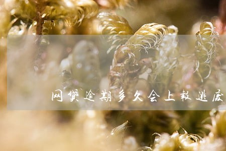 网贷逾期多久会上报逃废债 网贷逾期多久会上报逃废债