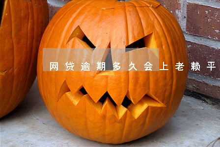 网贷逾期多久会上老赖平台 网贷逾期多久会上老赖平台