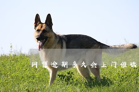 网贷逾期多久会上门催收吗 网贷逾期多久会上门催收吗