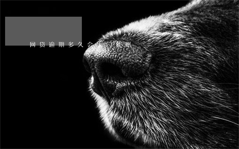 网贷逾期多久会上门催账 网贷逾期多久会上门催账