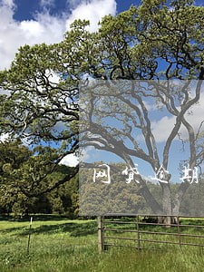 网贷逾期多久会上门办理