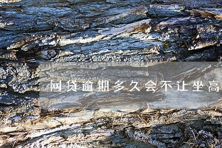 网贷逾期多久会不让坐高铁 网贷逾期多久会不让坐高铁