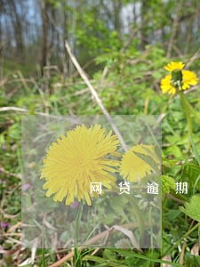 网贷逾期多久会产生高额罚息 网贷逾期多久会产生高额罚息