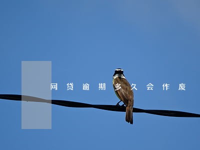 网贷逾期多久会作废 网贷逾期多久会作废