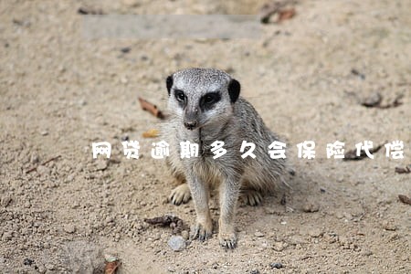网贷逾期多久会保险代偿