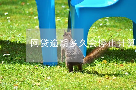 网贷逾期多久会停止计算利息 网贷逾期多久会停止计算利息