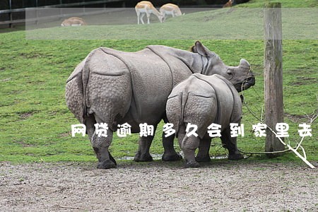 网贷逾期多久会到家里去