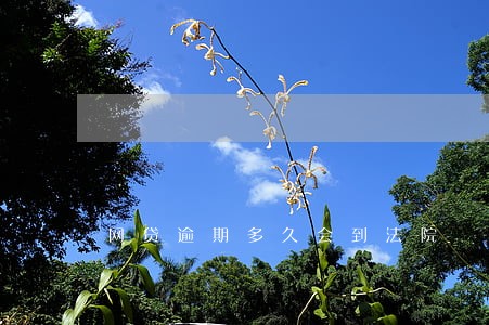 网贷逾期多久会到法院 网贷逾期多久会到法院