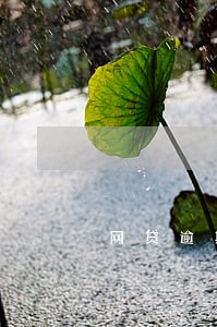 网贷逾期多久会发传单 网贷逾期多久会发传单