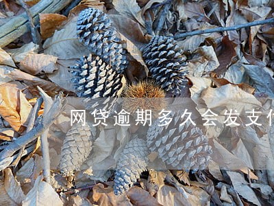 网贷逾期多久会发支付令 网贷逾期多久会发支付令