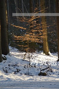 网贷逾期多久会变坏账 网贷逾期多久会变坏账