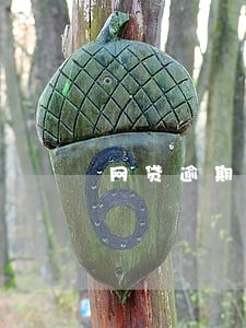 网贷逾期多久会变烂账吗 网贷逾期多久会变烂账吗