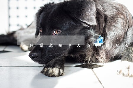 网贷逾期多久会封信用卡