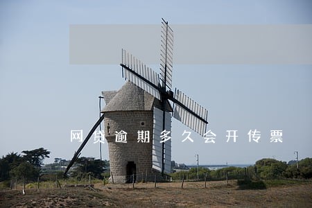 网贷逾期多久会开传票