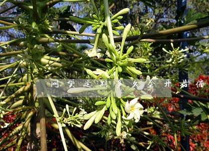 网贷逾期多久会开始催收 网贷逾期多久会开始催收
