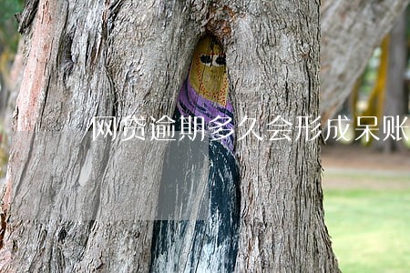 网贷逾期多久会形成呆账