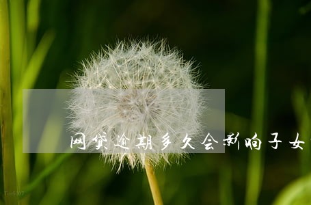 网贷逾期多久会影响子女读书 网贷逾期多久会影响子女读书