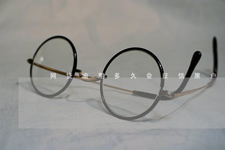 网贷逾期多久会征信黑户 网贷逾期多久会征信黑户