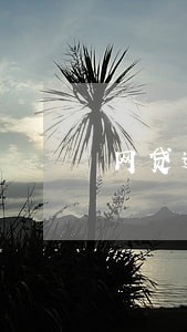 网贷逾期多久会打联系人 网贷逾期多久会打联系人