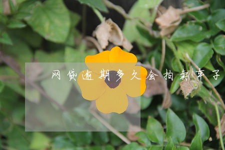 网贷逾期多久会拍卖车子 网贷逾期多久会拍卖车子