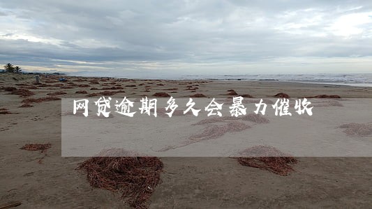 网贷逾期多久会暴力催收 网贷逾期多久会暴力催收