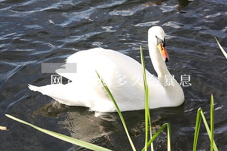 网贷逾期多久会暴息 网贷逾期多久会暴息